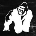 gorilla-wear-shop-discount-code